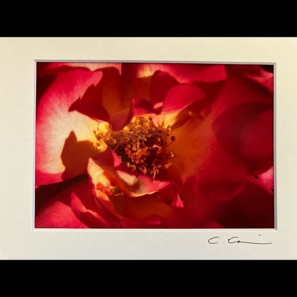 New Original Signed Photography - Picture 3 of 5